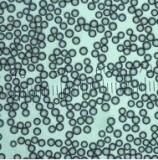 最新Nature文章：10nm以下金屬納米顆粒的等離子共振研究