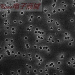 密理博Millipore GTTP04700 聚碳酸酯膜孔徑:0.22μm;直徑:47mm