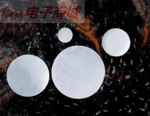 Filter Papers銀膜過(guò)濾，5微米，直徑25mm，50/PK