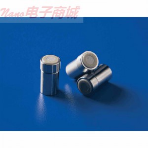 Thermo Scientific Thermo Scientific HyPURITY C8 22205-011001下降保護盒長度10mm，1.0mm ID，5μm粒徑；包4