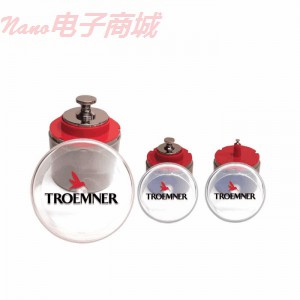 Troemner  7017-UCPW 100克的質(zhì)量重量校準(zhǔn)砝碼