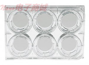 Costar 3450 Transwell小?透水支持，0.4微米尺寸6群集板，聚酯膜; 24/case