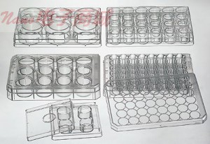 Thermo Scientific Nunclon ? 140675 6 MultiDish的與蓋子，PS，無菌