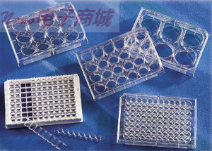 Costar 3512 12孔帶蓋的多個孔細胞培養(yǎng)板中，處理過的，無菌的，5/PK