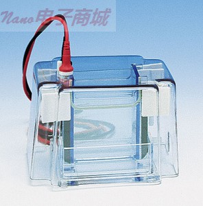 Cole-Parmer 雙立式微型電泳設備，凝膠床的尺寸為10×10厘米,MGV-202-U