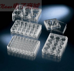 Thermo Scientific 150239 Nunclon ?  6孔培養皿中，未處理，75/case