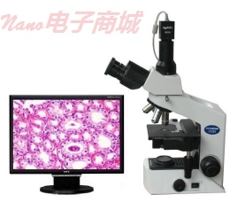 奧林巴斯 CKX41-A32PH 倒置顯微鏡