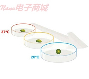Nunc 174903 60mm*15mm；帶蓋；透氣；無菌，UpCell表面