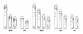 NUNC 378247 CryoTubes 凍存管盒