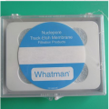 Whatman Grade 0903濾紙10334885 Grade 0903 450x450MM 500/PK