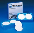 Whatman GF8 玻璃微纖維濾紙10370172 GF8 60x90MM 100/PK，0.3 -0.5μm 標準細顆粒物