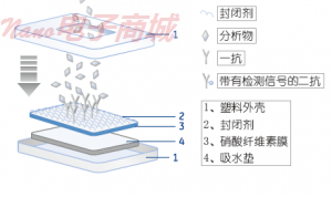 Whatman FT020滲濾膜10420370 FT020 220MM 50/PK，尺寸：220MM 孔徑0.2um